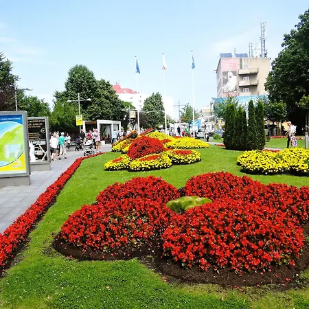 Apartman Comfortable Double Close To The Promenade *